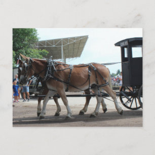 Der Bus der Mule Driven School Postkarte