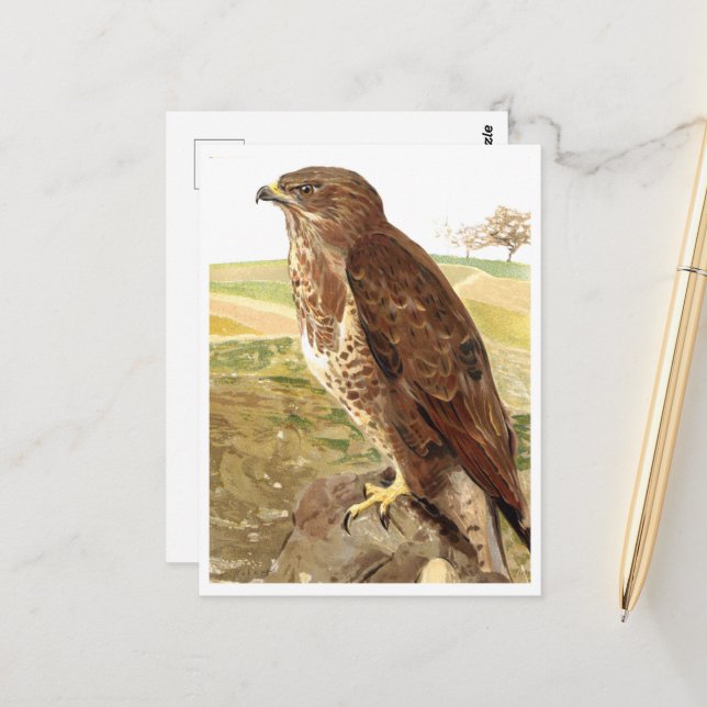 Der Buzzard Postkarte (Vorderseite/Rückseite Beispiel)