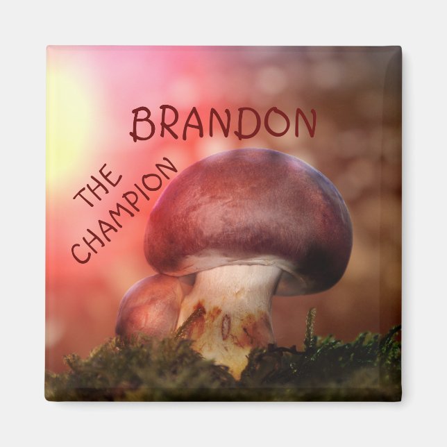 Der Campion mit dem Champignon Magnet (Vorne)