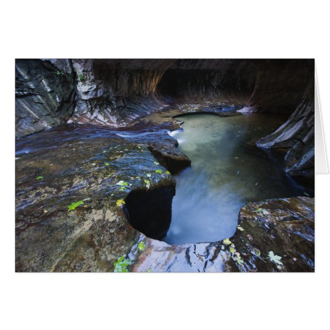 Der Canyon der U-Bahn (Vorderseite (Horizontal))