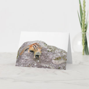 Der Chipmunk Karte