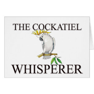 Der CockatielWhisperer