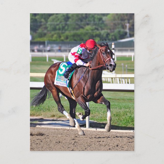 Der Cotillion 2016 Postkarte (Vorderseite)