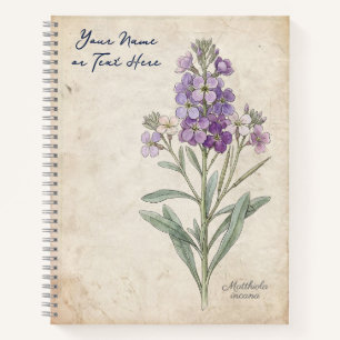 Der Dämmerungsparfümeur: Matthiola Incana Botanisc Notizbuch