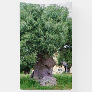 Der Denkbaum in Pugia Banner