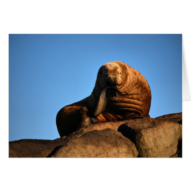 Der Denker (Vorderseite (Horizontal))