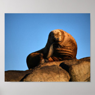 Der Denker - Fine Art Prints Poster