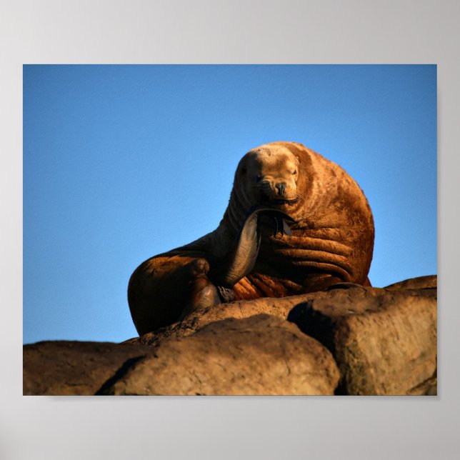 Der Denker - Kunstdrucke Poster (Vorne)