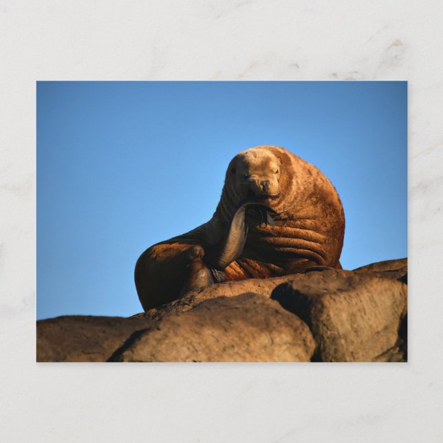 Der Denker Postkarte (Vorderseite)