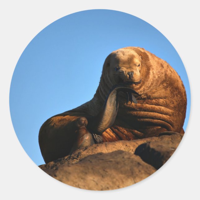 Der Denker Runder Aufkleber (Vorderseite)