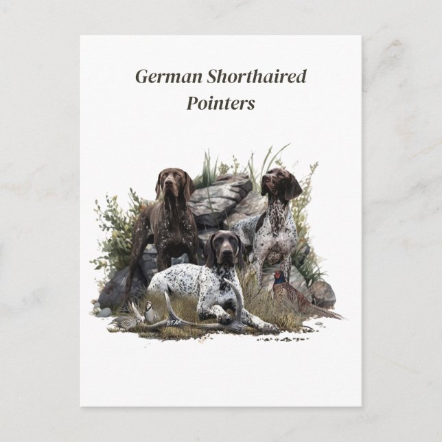 Der deutsche Kurzhaar oder Deutsch Kurzhaar Postkarte (Vorderseite)