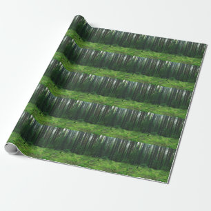 Der dichte Sommer Wald: Landschaftspanorama. Geschenkpapier