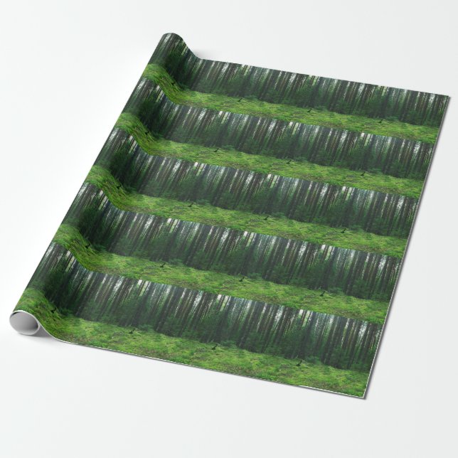 Der dichte Sommer Wald: Landschaftspanorama. Geschenkpapier (Ungerollt)