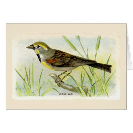 Der Dicki-Vogel dankt dir Karte