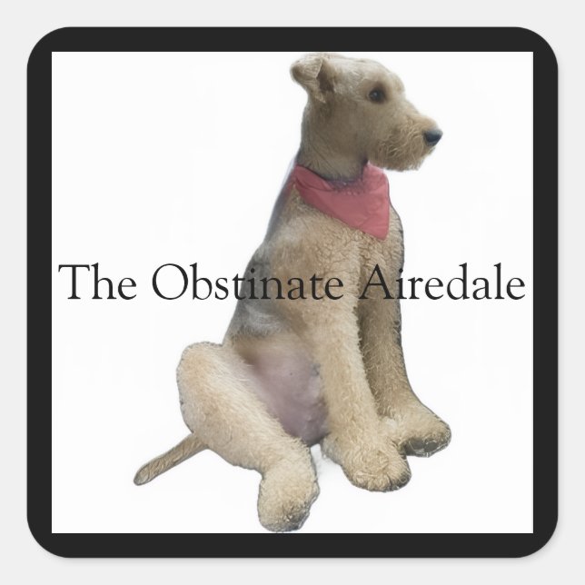 Der Dickköpfige Airedale-Aufkleber Quadratischer Aufkleber (Vorderseite)