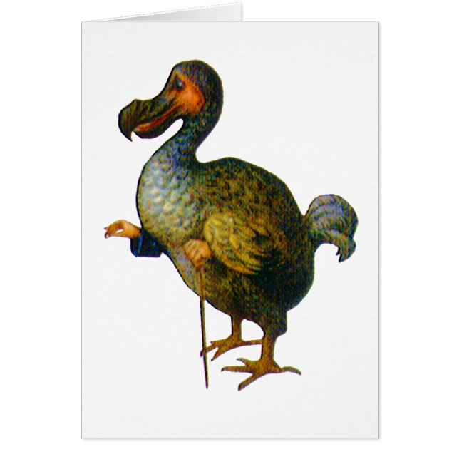 Der Dodo Bird (Vorne)