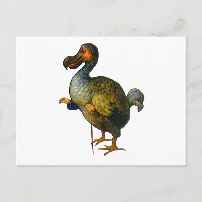 Der Dodo Bird Postkarte (Vorderseite)