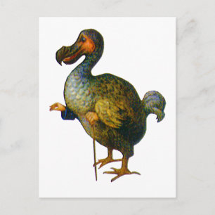 Der Dodo Bird Postkarte