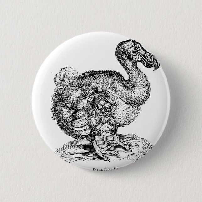 Der Dodo Button (Vorderseite)