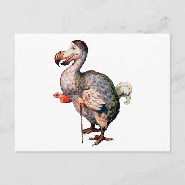 Der Dodo-Vogel Postkarte (Vorderseite)