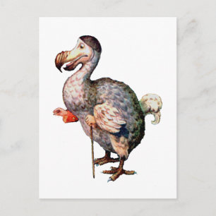 Der Dodo-Vogel Postkarte