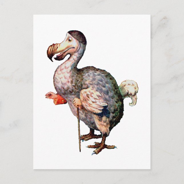 Der Dodo-Vogel Postkarte (Vorderseite)