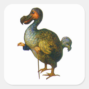 Der dodo-Vogel von der Alicen im Wunderland Quadratischer Aufkleber