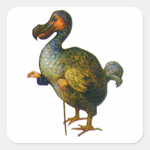 Der dodo-Vogel von der Alicen im Wunderland Quadratischer Aufkleber