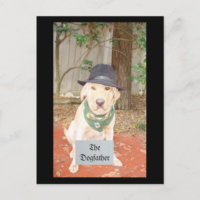 Der Dogvater Postkarte (Vorderseite)
