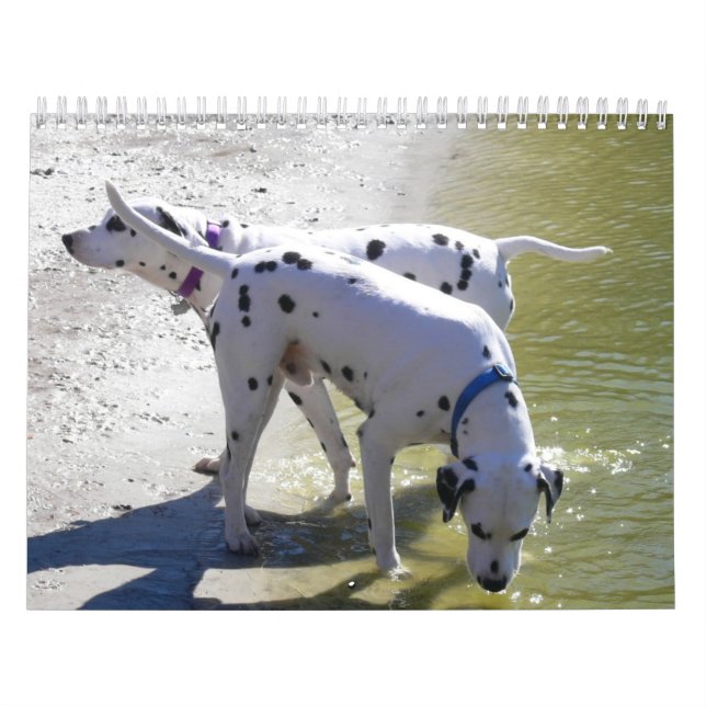 Der DogWood-Kalender 2007 Kalender (Titelbild)
