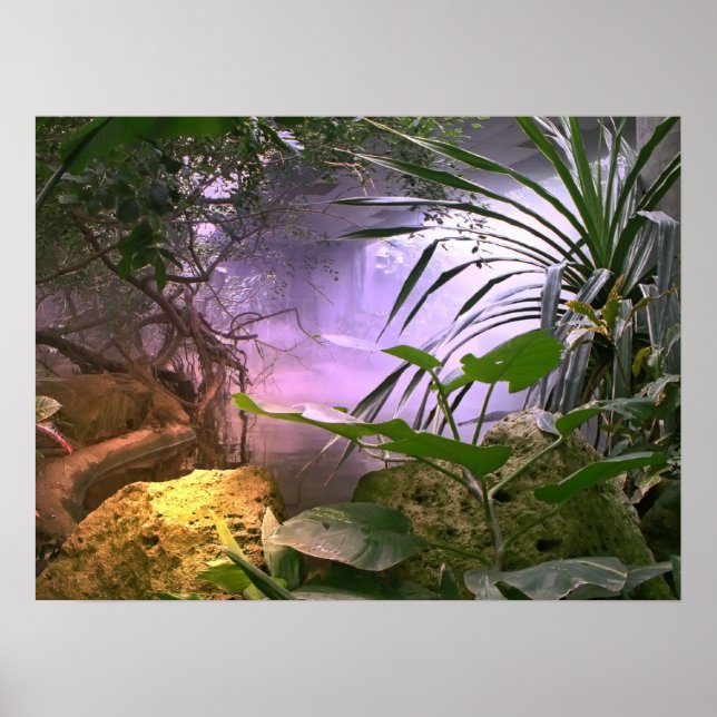 Der Dschungel Poster (Vorne)