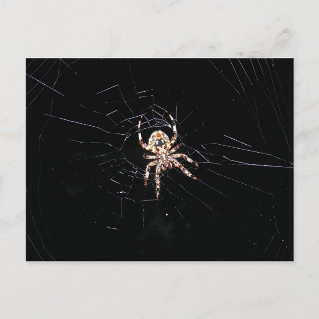 DER DUNKEL POSTKARTE (Vorderseite)