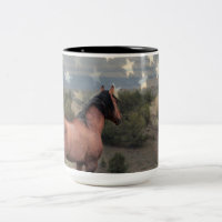 Der "Ehren" Mustang und die amerikanische