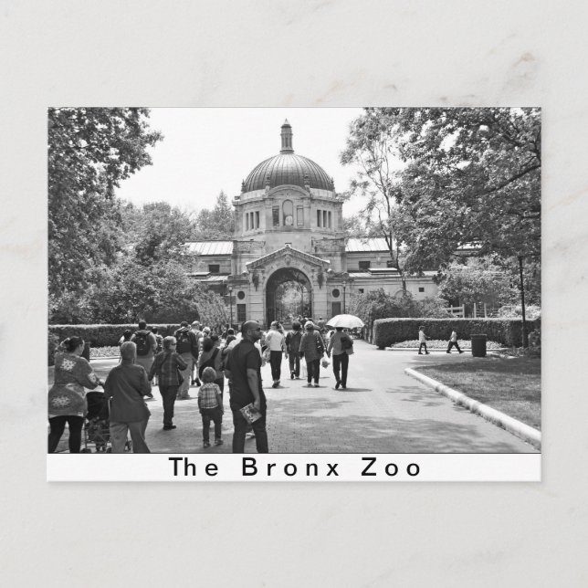 Der Eingang zum Zoo von Bronx Postkarte (Vorderseite)