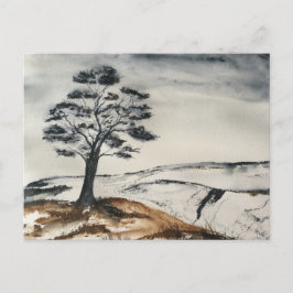 Der einsame Baum Postkarte