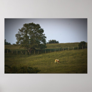 Der einsame Kuhkunstdruck Poster