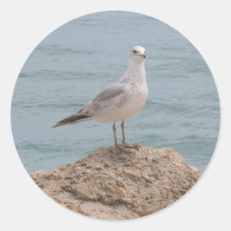 Der einsame Seagull (2134) Rundaufkleber Runder Aufkleber