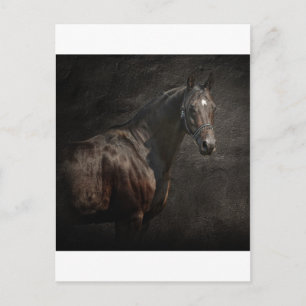 Der Einzige Postkarte