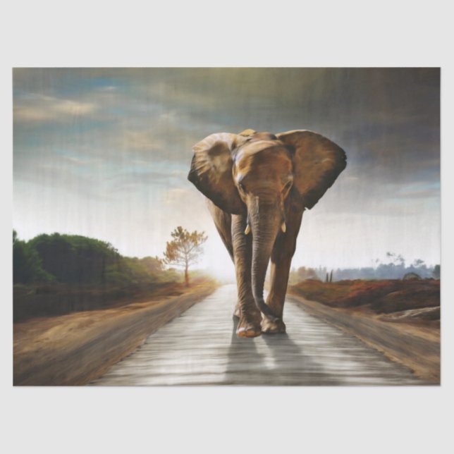 Der Elefant Seidenpapier (Vorderseite)