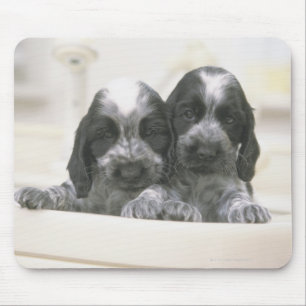 Der englische Cocker Spaniel ist eine Hunderasse. Mousepad