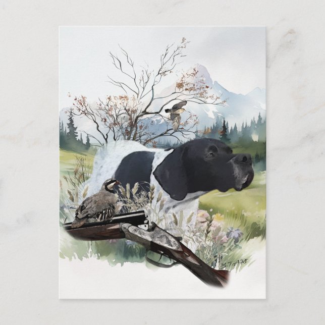 Der englische Pointer Postkarte (Vorderseite)