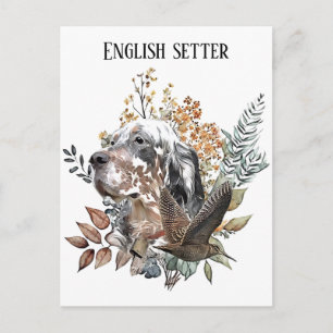 Der englische Setter , Die Jagd auf die Woodcock , Postkarte