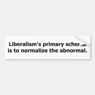 Der Entwurf des Liberalismus Autoaufkleber