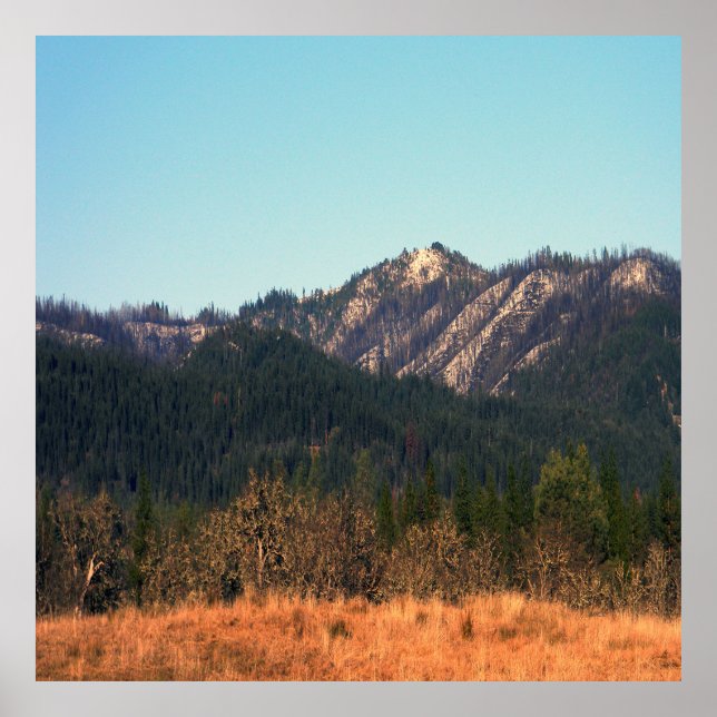 Der erste Schnee... Poster (Vorne)