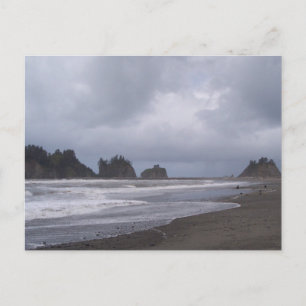 Der erste Strand von LaPush Postkarte