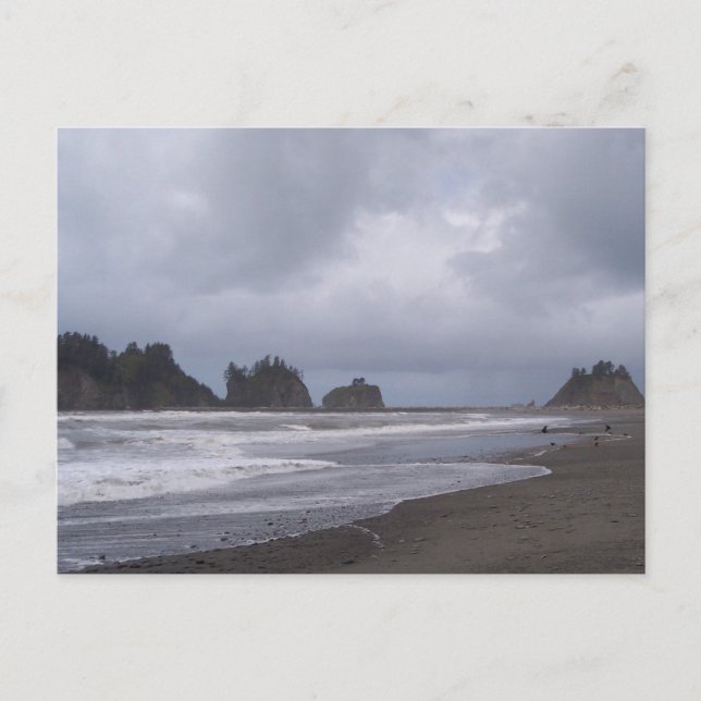 Der erste Strand von LaPush Postkarte (Vorderseite)