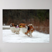 Der erste Wintertag 2012