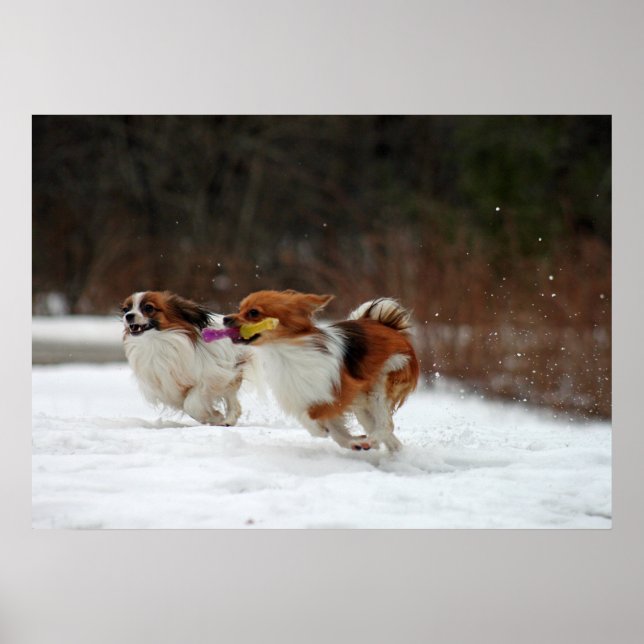 Der erste Wintertag 2012 Poster (Vorne)