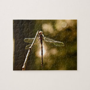 DER ERSTFLUG DER LIBELLE PUZZLE