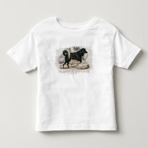 Der Esquimaux Hund (Canis familiaris) Kleinkind T-shirt